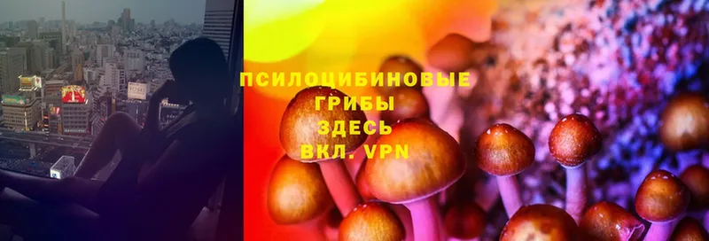 Псилоцибиновые грибы Magic Shrooms  Кизел 